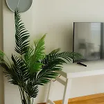 Apartment Stylish With Stunning Ocean Views *